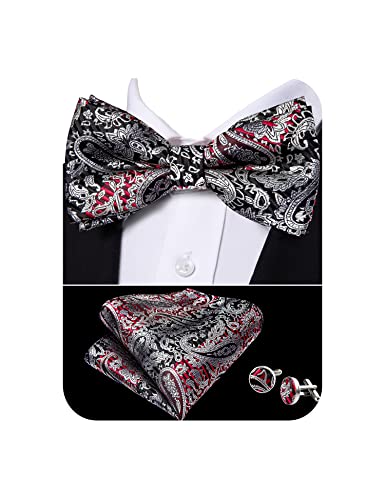 Barry.Wang Mens Bow Tie and Pocket Square Set Silk Paisley Pretied Bow Tie Hankerchief Cufflinks