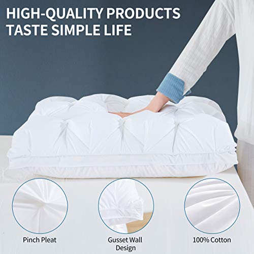 Arometerty Goose Feather Pillow Queen 1 Pack White Pinch Pleat Bed Pillow For Different Sleep Requirements-100% Cotton Fabric Luxury Feather Pillows-Queen Size Gusset Wall Design Pillow 20"X28" #TOP1