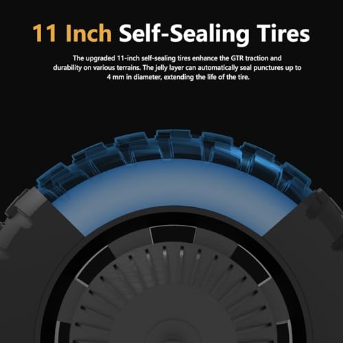 Choose ANDBEE GTR Today!