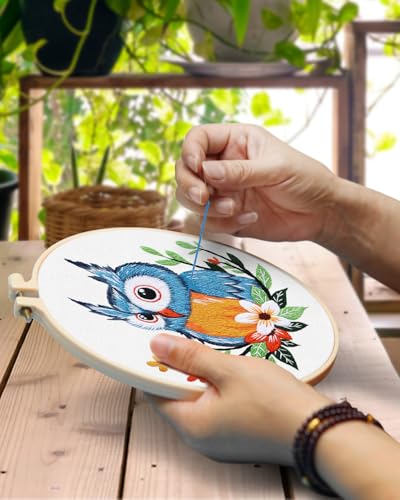 Image of TINDTOP Embroidery Kit for Adults, Owl Embroidery Practice Kit | for Adult Beginners Include Embroidery Cloth Hoops Threads for Craft Lover Hand Stitch with Embroidery Skill Techniques
