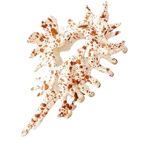 LkwANbviLNbvj | ȃwAANZT[ | pLk܃Nbv   r[` X|[c x p[eB[V[p