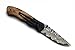 BucknBear Army Liner Lock Folder Pocket Knife, Damascus 3.12 Inch Blade, Burl Wood Handle
