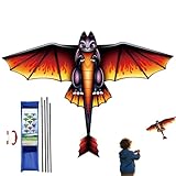 Aquilone - Grande Formato Poliestere, Montaggio Rapido Leggero, Giocattolo...