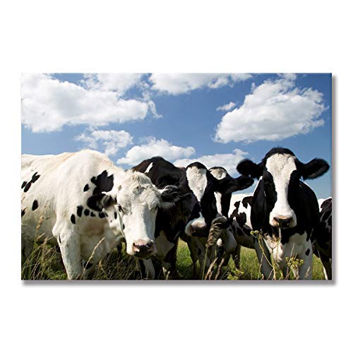 Affiche vache des Highlands peinture sur toile salon 70x100 cm