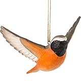  Wildlife Garden Fliegender Gartenrotschwanz