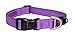 ROGZ Reflective Dog Collar for Extra Large Dogs, Adjustable from 17-27 inches, Purple