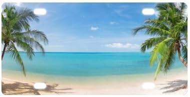 Tropical Paradise Ocean Beach Scene with Palm Trees Novelty License Plate Decorative Front Plate 6" X 12"