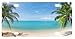 Tropical Paradise Ocean Beach Scene with Palm Trees Novelty License Plate Decorative Front Plate 6" X 12"