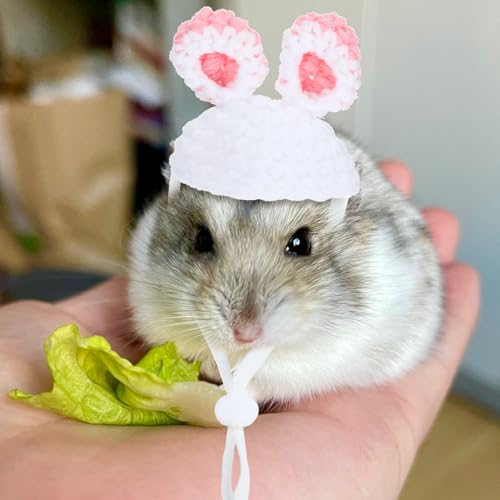 2 peças de fantasia para hamster, mini chapéus de malha para animais de estimação, para cobras, sapo