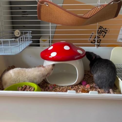 Ceramic Mushroom Chinchilla House, Small Pet Hideout,Extra Large — 사진 6