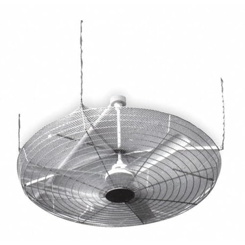 Dayton Ceiling Fan Guard,61" Guard Dia.