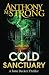 Cold Sanctuary (John Decker Series) (Volume 2)
