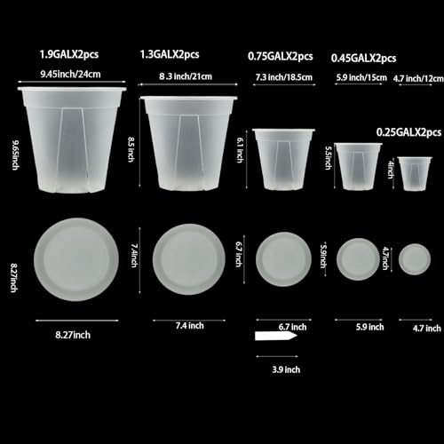 Macetas transparentes para plantas vivas en estanterías de interior 4