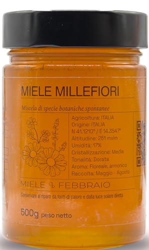 Miele Millefiori 100% Italiano, Grezzo e Non Pastorizzato 500 g