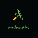 Andhadhi
