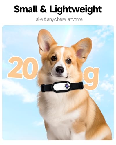 JeaTone Cat Camera Collar with 8G SD Card,1080P No WiFi No App Dog Collar Camera,Portable Tiny Sport Action Pet Collar Camera,Video Records,Indoor/Outdoor,Birthday Gifts for Cat,Dog