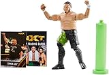 NXT Takeover WWE Samoa Joe Action Figure