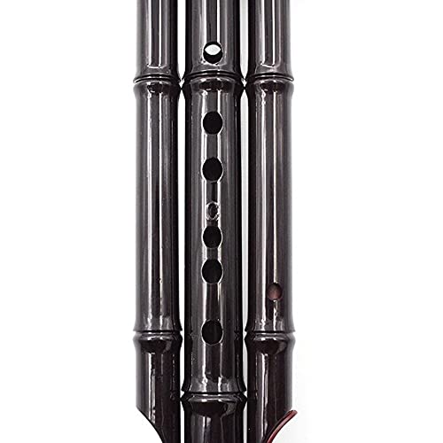 Flauta China Tradicional Hulusi Calabaza cucurbita Flauta Clave C Profesional étnico Musical Instrumento de Viento de Madera para Regalos para Principiantes