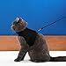 Niteangel 2-Pack of Adjustable Cat Harness with Elastic Leash (M & L, Black)