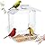 SVEDVK Clear Window Bird Feeder with Strong Suction Cups – Clear Bird Feeding Station with Dual Seed Tray & Water Bowl – Easy to Install and Clean for Outdoor Viewing