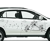 autoaufkleber pusteblume name für Wände (feine Raufaser und Putz, normale Tapeten, Wandfliesen), Türen, Spiegel