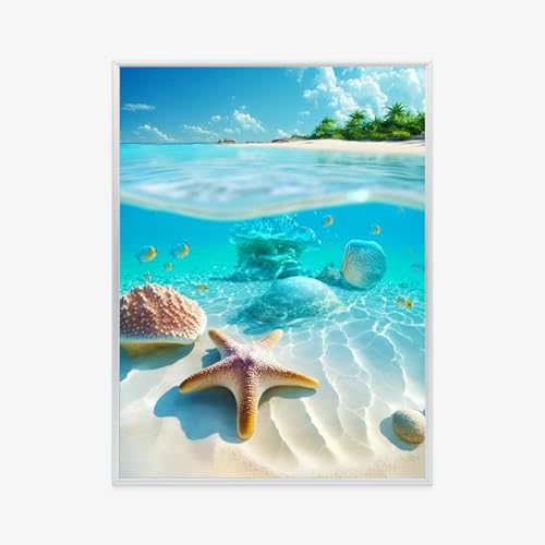 Poster étoile de mer et poissons 60x80 pour décorer votre salon