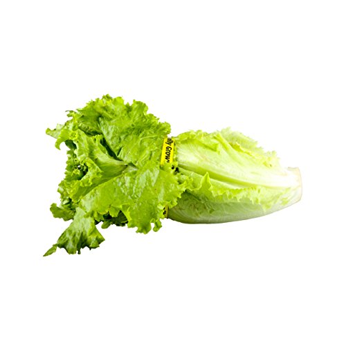 Bristol Farms, Organic Green Leaf Lettuce, 1 Count - Thumbnail 5