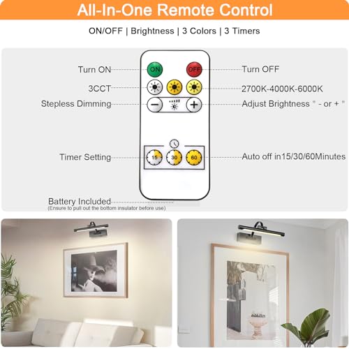 Image of Tassuowell Battery Powered Picture Light with Remote and Timer,Full Metal Art Light with Swing Arm,12 Inch Dimmable,3CCT in One, Rechargeable Wall Lights for Display, Artwork, Canvas,Hallway