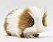 Hansa Guinea Pig Plush, Brown/White