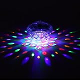 GIGALUMI Solar Lights Outdoor Color Changing Garden Led Light Landscape/Pathway Lights Solar Disco Pool Lights (2 Pack)