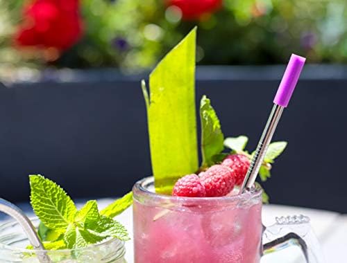 Premium quality reusable stainless steel metal drinking straws - 8 set with 2 cleaning brushes and silicone tips - 100% EcoFriendly - For adults and kids great for cocktails, smoothies and hot drinks