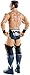 WWE Mattel Basic The Miz Figure