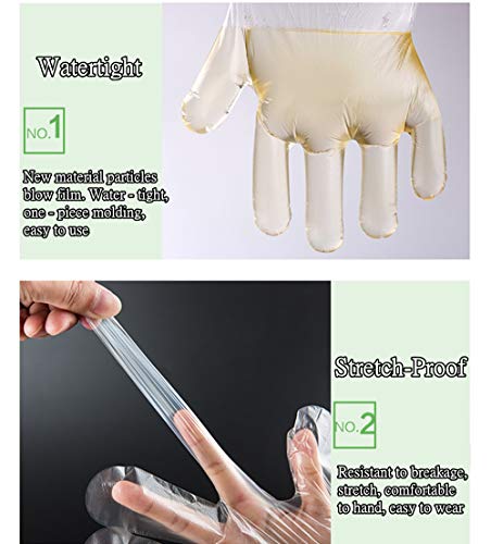 Hnrloy Disposable Plastic Gloves 500 Pcs, Kitchen Food Grade Gloves,Polyethylene Clear Work Gloves For Cooking,Cleaning,Food Handling,Hair Coloring [One Size Fits Most ] #TOP2