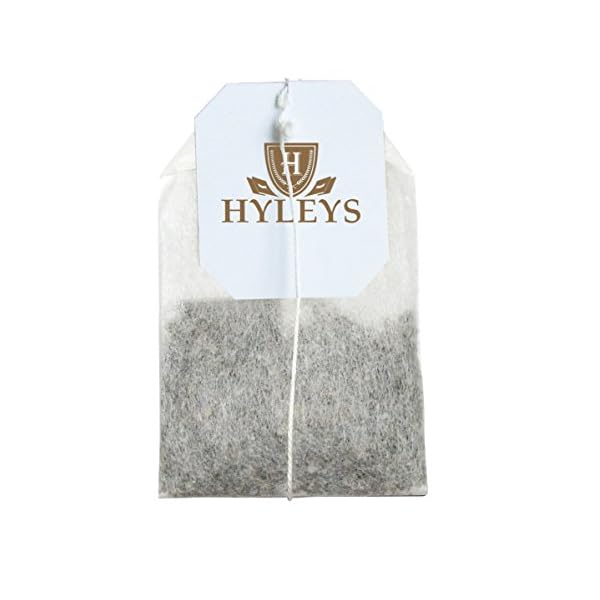 Hyleys-Slim-Tea-Goji-Berry-Flavor-Weight-Loss-Herbal-Supplement-Cleanse-and-Detox-25-Tea-Bags-1-Pack Hyleys Slim Tea Goji Berry Flavor - Weight Loss Herbal Supplement Cleanse and Detox - 25 Tea Bags (1 Pack)