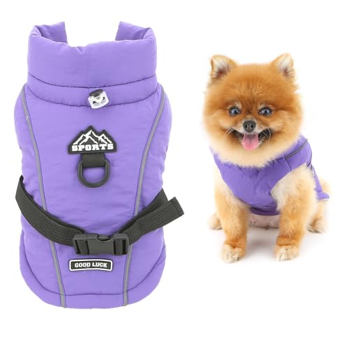 SMALLLEE_LUCKY_STORE �� �� �H �~ �y�b�g�� �R�[�g �t���[�X���n�t�� ���n �W���P�b�g D�����O�t�� ���߉\ ���˃e�[�v�t�� �h���E�F�A ���E�ȒP �y�� �����^�� ���^�� �q�� �L�� �`���� �� ���U�� ���o�|���C�p�[�v���CXL