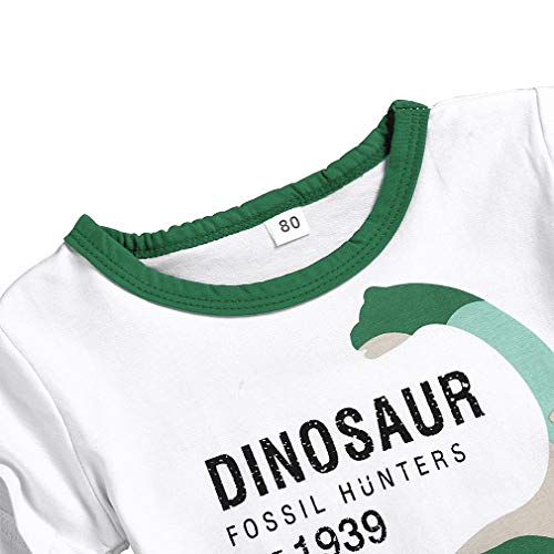 Image of Little Boys Shorts Set Toddler Boys 100% Cotton Summer Short Sleeve T-Shirts and Shorts Clothing Sets 2PCS