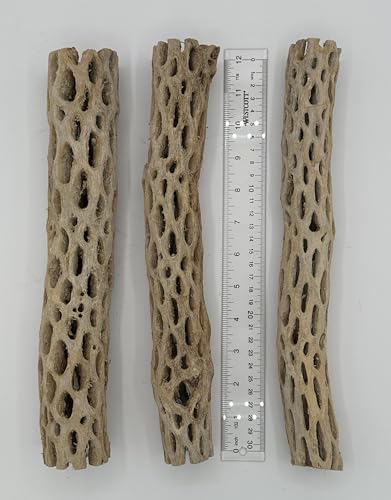 Image of Awesome Aquatic XL Cholla Wood Tubes, Teddy Cane, 12 inch x up to 2 inch | XL Hideouts • Hollow tubes • Natural biofilm surface • Secure hideouts • Shrimp plecos hermit crabs reptiles • Natural decor