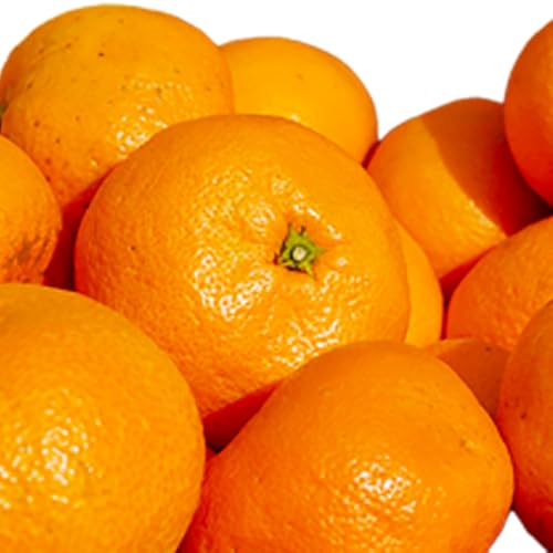 [Amazon.co.jp 限定]早生 みかん 2S〜Lサイズ 4.9kg どの坂果樹園[12月上旬-1月末頃出荷予定] 和歌山県 日高川町 旬 柑橘 フルーツ 果物 蜜柑 ミカン