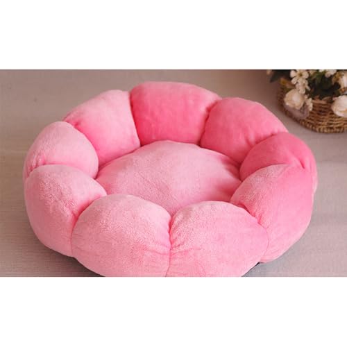 [JUI3N] ybgNbV  L ybgp xbg sN I[V[Ygp\ ې􂢉\ q qL ^ ^ }bg   ybg\t@[ ybgxbh ӂӂ ~ pxbh 60CM ۉh ΍