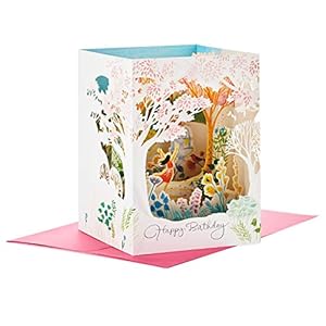 Hallmark Paper Wonder Pop-Up Geburtstagskarte