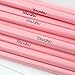 Professional Makeup Brushes 12pcs Pink Eyeshadow Brushes Eyeliner Eyebrow Brushes Tools Essential Cosmetic Brush Kits