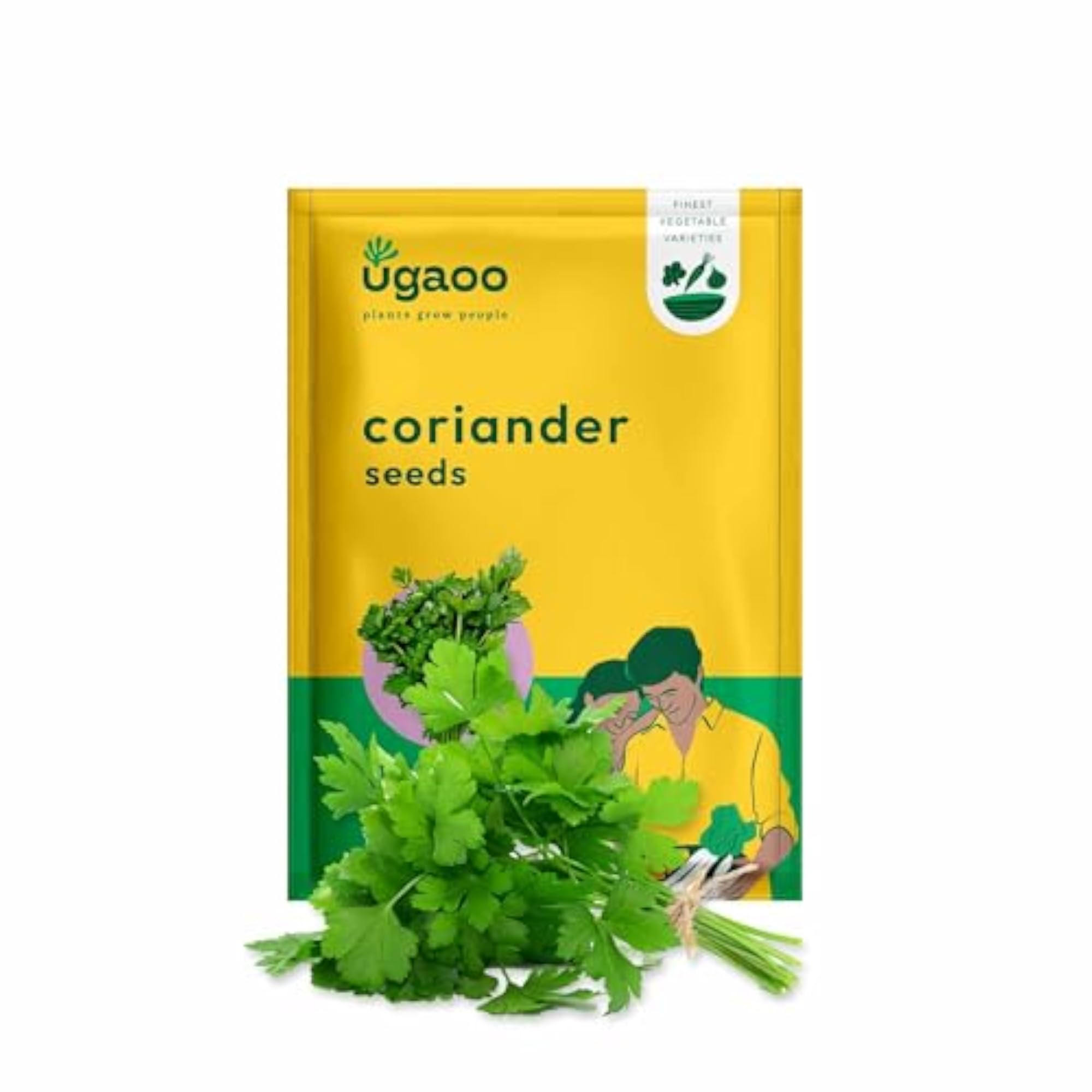 Indian Greens Vegetable Seeds Combo for Home Garden