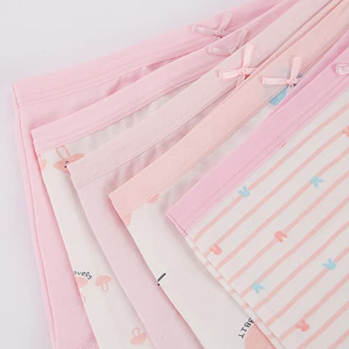 ZHTEAPR Little Kids Girls Underwear Toddler Soft Cotton Boxer Briefs Panties Cute Pattern Boyshorts (2-11years)2