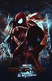 spider man into the spider verse posters Perfecto para tu hogar, oficina o regalo