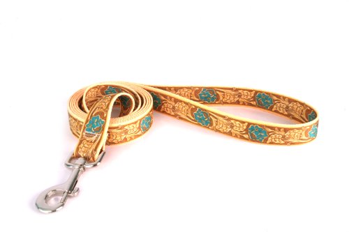 Image of Yellow Dog Design Standard Lead, Leather Rose Teal, 3 /4 inch x 60 inch (5 ft.)