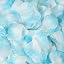 Light blue and white