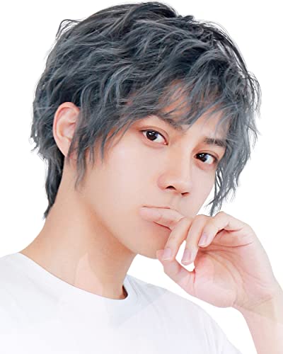 メンズ ショート ウィッグ スパイラル パーマ カール ふんわり 耐熱 フルウィッグ かつら 男装 韓国 艶消しファイバー 自然 ウィッグネット 付 ブラック/ブルー MEN-004-BkBl