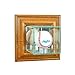 Perfect Cases WMBS-W Wall Mounted Baseball Display Case, Walnut