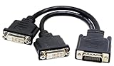 zdyCGTime DMS-59 to 2 DVI (24+1) Splitter Cable Connector for Dual Monitor Setups or as a DVI Adapter Y Cord Dongle-10inch