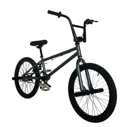 LapakeyiS҂㋉ҌjTF-1t[X^CBMXoCNAYf|t[AA~jEU^Au[L20C`zC[t (20C`iAbvO[hŁj,O[)